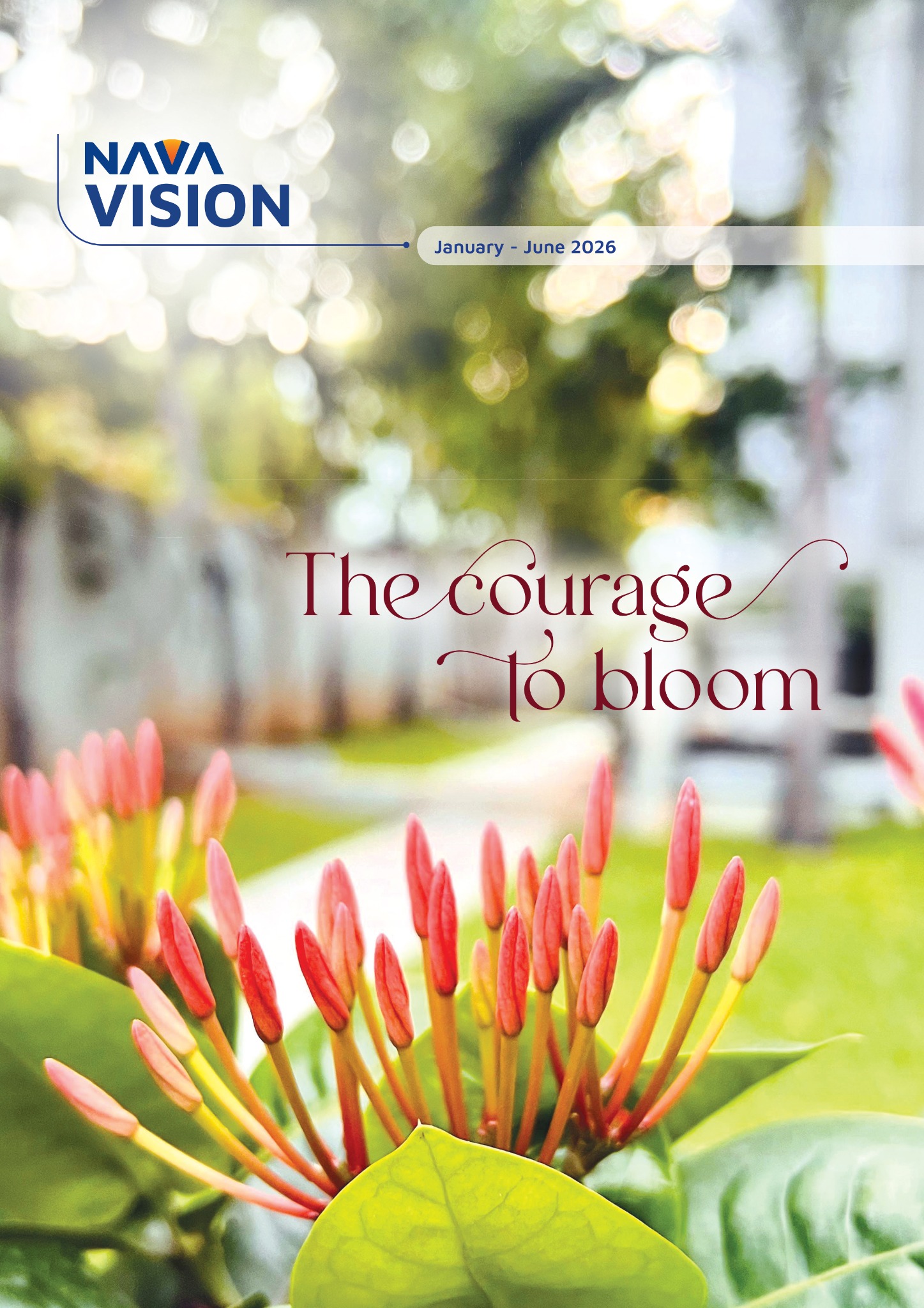 Nava Vision — January–June 2026